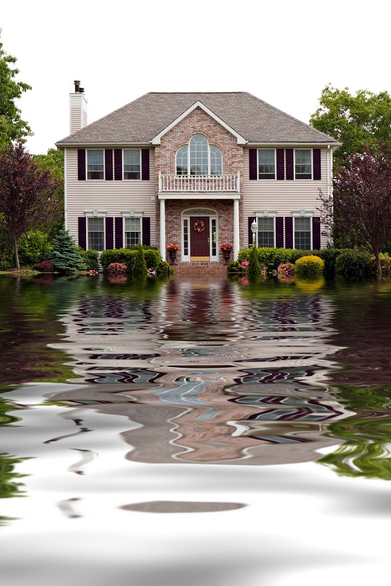 Everette Carpet Care & Restoration: Your Ultimate Solution for sewage cleanup in Fairfax, Virginia Call (877)783-3606